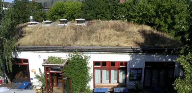 Toit végétalisé couvert d'herbe haute sur un bâtiment bas, arbres alentour