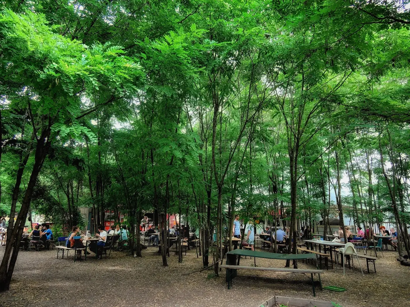 Sous-bois de jeunes arbres avec tables et bancs de bois, dans un jardin ouvert