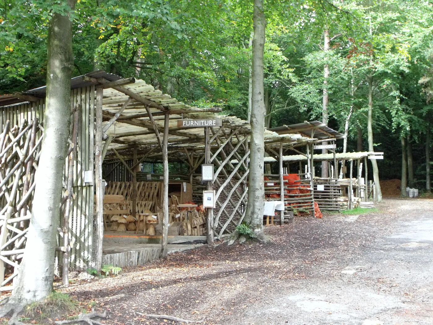 Voyage scolaire durable à Brighton : abris de bois rustiques sous les hêtres et les châtaigniers, stocks de bois coupé