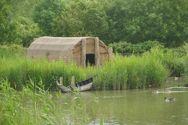 Voyage scolaire durable à Brighton : hutte de roseaux et barque au bord d'une mare bordée de roselières, canards sur l'eau