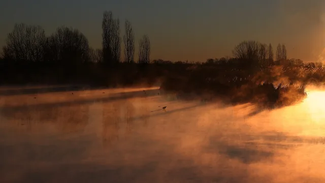 Brume au lever du soleil sur le fleuve, entre les rives boisées du parc du Tessin