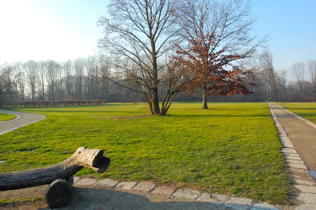 Voyage scolaire durable à Milan : prairie, grands arbres et tronc couché dans une forêt urbaine en hiver