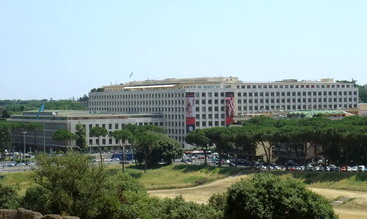 Le bâtiment du siège vu depuis un parc planté de pins