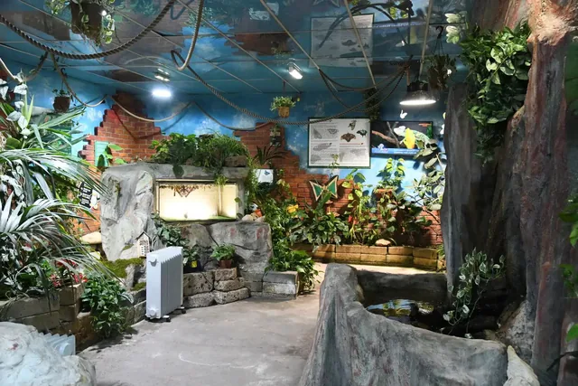 Vivarium tropical du parc couvert : végétation, rochers et vitrines d'observation