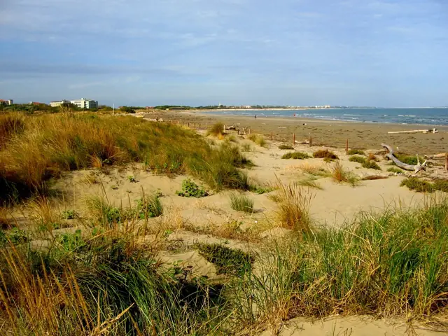 Dunes couvertes d'oyats, la mer au fond