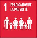 Objectif de développement durable 1, pas de pauvreté