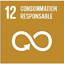 Objectif de développement durable 12, consommation et production responsables