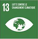 Objectif de développement durable 13, mesures relatives à la lutte contre les changements climatiques