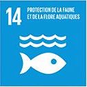 Objectif de développement durable 14, vie aquatique