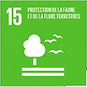 Objectif de développement durable 15, vie terrestre