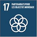 Objectif de développement durable 17, partenariats pour la réalisation des objectifs