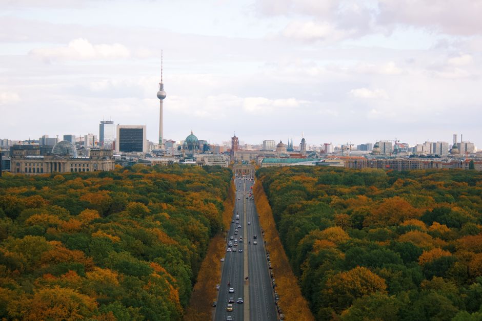Le Tiergarten en couleurs d'automne, la tour de télévision à l'horizon
